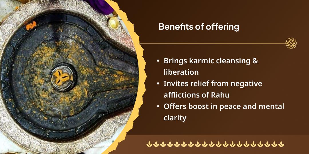 Rahu Nakshatra Kalsarp Dosh Shanti Trimbakeshwar Jyotirlinga Chadhava