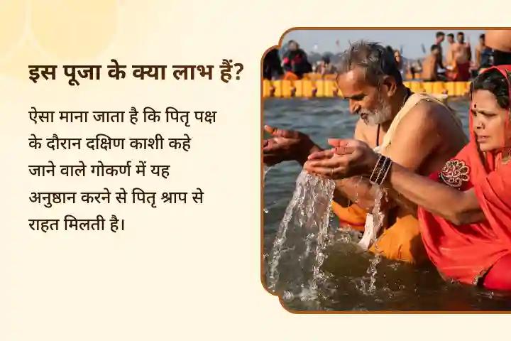  पितृ दोष से राहत और पितरों की आत्मा शांति हेतु  पितृ पक्ष नारायण बलि विशेष नारायण बलि पूजा, त्रिपिंडी श्राद्ध, पितृ दोष शांति पूजा