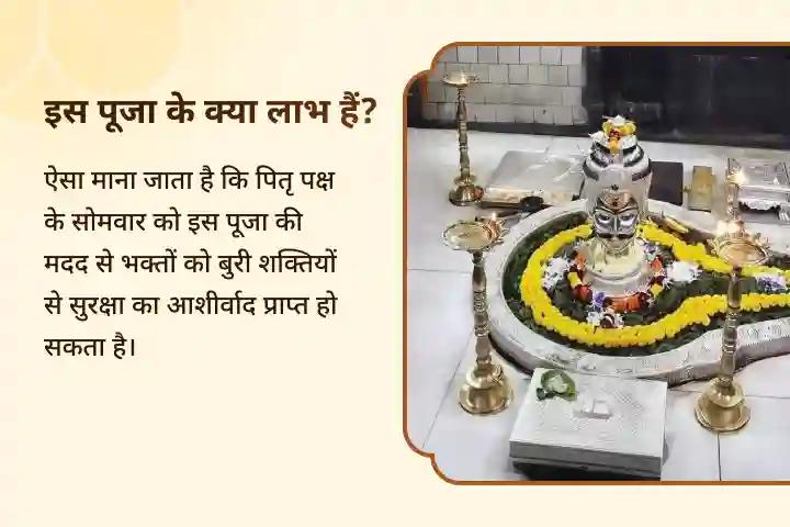 अच्छे स्वास्थ्य और बुरी नज़र व नकारात्मक ऊर्जाओं से सुरक्षा के लिए त्र्यंबकेश्वर ज्योतिर्लिंग पितृ मुक्ति अभिषेक त्र्यंबकेश्वर और 11 ब्राह्मण अन्न सेवा