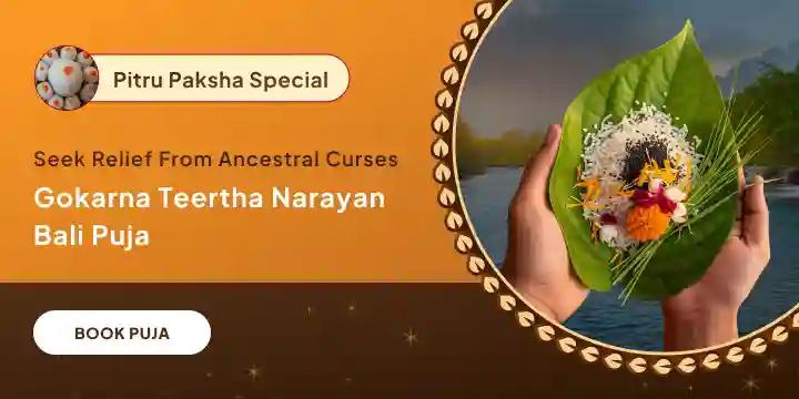 Narayan Bali Puja, Tripindi Shraadh Pitru Dosh Shanti Puja