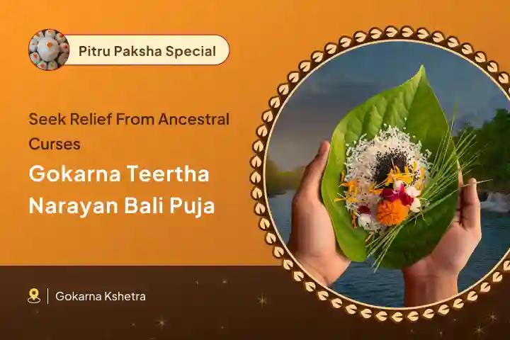Pitru Paksh Narayan Bali Special Narayan Bali Puja, Tripindi Shraadh Pitru Dosh Shanti Puja To Seek Relief from Ancestral Curses and Bring Peace to Departed Souls