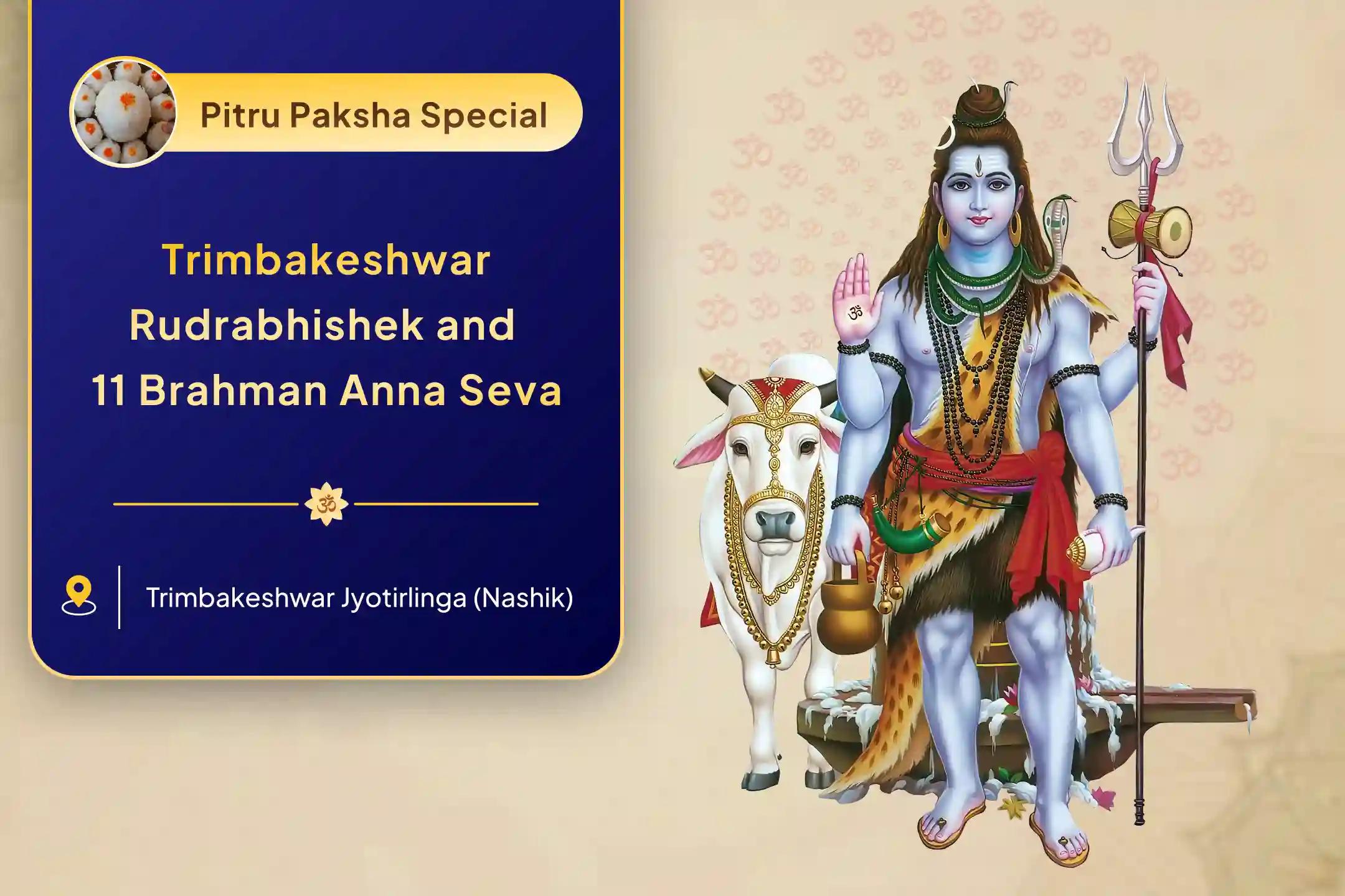 Trimbakeshwar Jyotirlinga Pitru Mukti Abhishek Trimbakeshwar Rudrabhishek and 11 Brahman Anna Seva for Seeking Good Health and Protection from Evil Eye and Negative Energies
