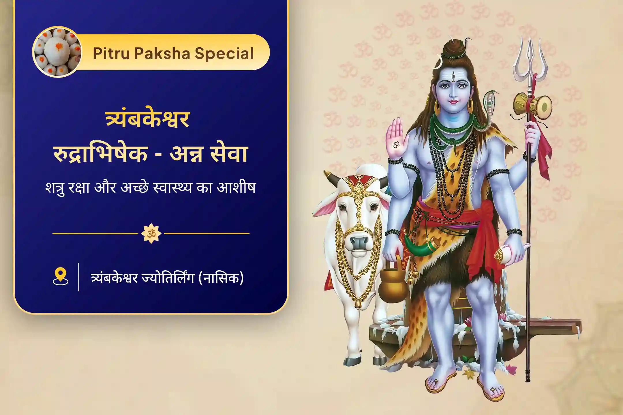 अच्छे स्वास्थ्य और बुरी नज़र व नकारात्मक ऊर्जाओं से सुरक्षा के लिए त्र्यंबकेश्वर ज्योतिर्लिंग पितृ मुक्ति अभिषेक त्र्यंबकेश्वर और 11 ब्राह्मण अन्न सेवा