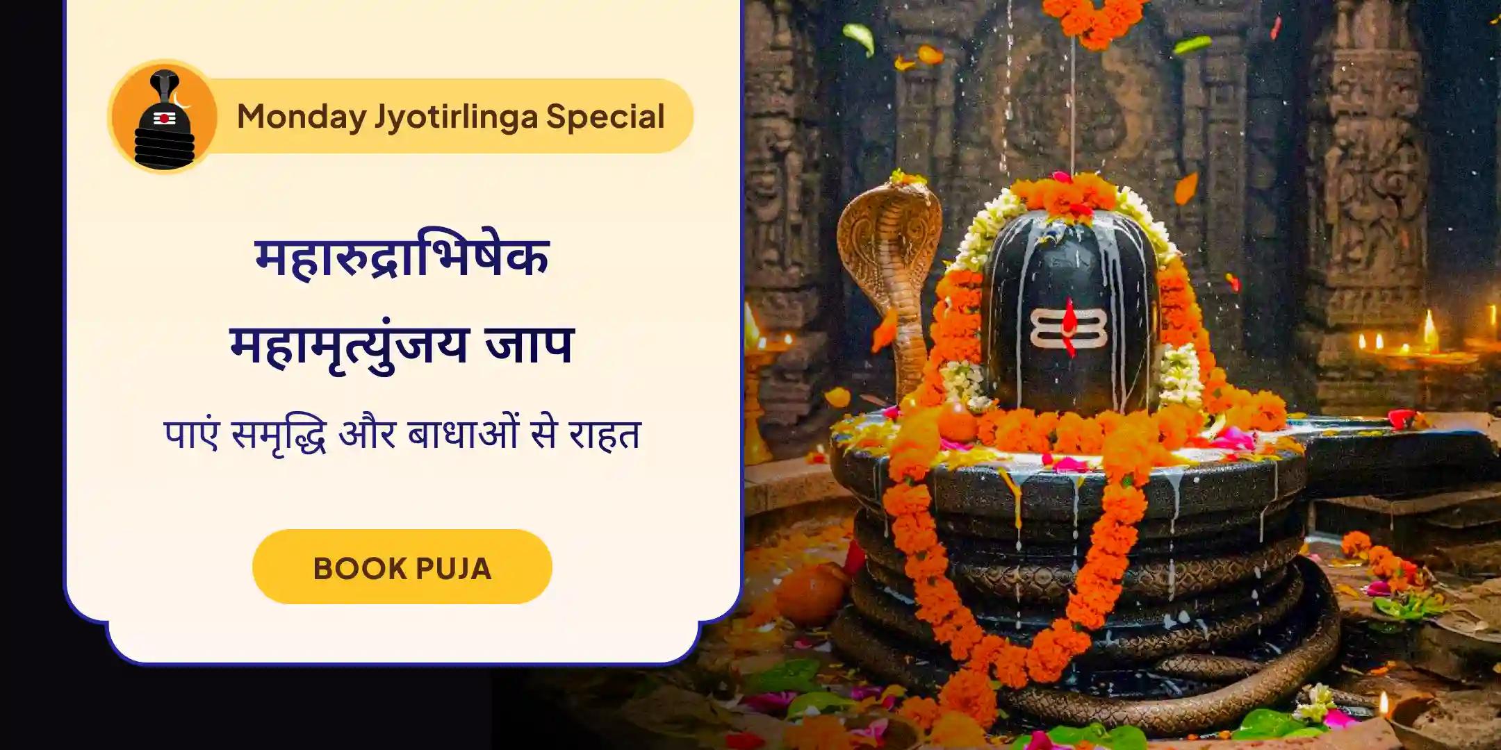 21 द्रव्य महा रुद्राभिषेक और 11 हजार महामृत्युंजय मंत्र जाप