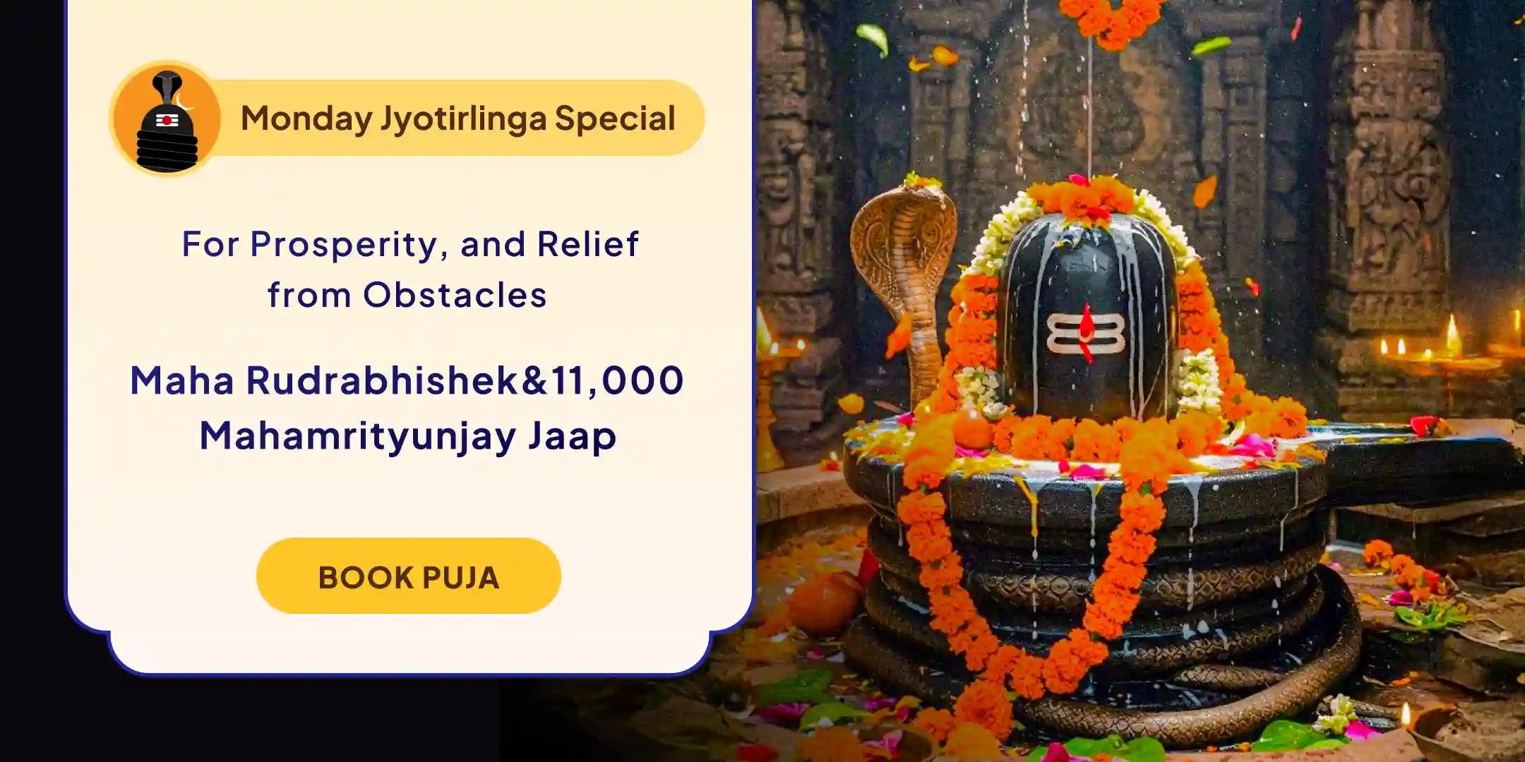 21 Dravya Maha Rudrabhishek and 11,000 Mahamrityunjay Mantra Jaap