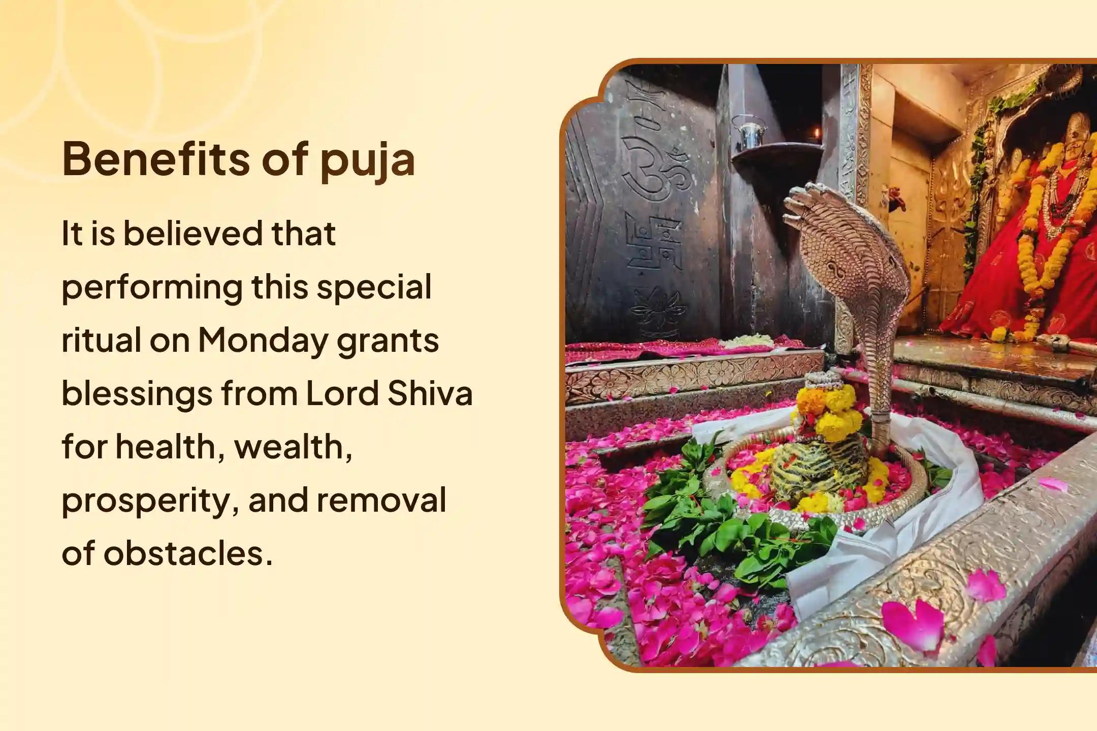Final 21 Dravya Rudrabhishek Before Pitru Paksha 21 Dravya Maha Rudrabhishek and 11,000 Mahamrityunjay Mantra Jaap For Blessings of Health, Wealth, Prosperity and Removal of Obstacles