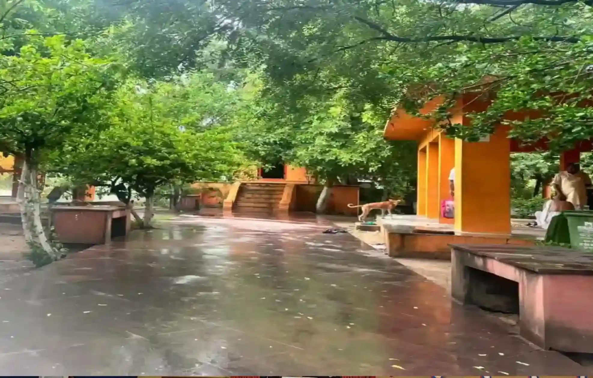 धर्मारण्य वेदी, गया, बिहार
