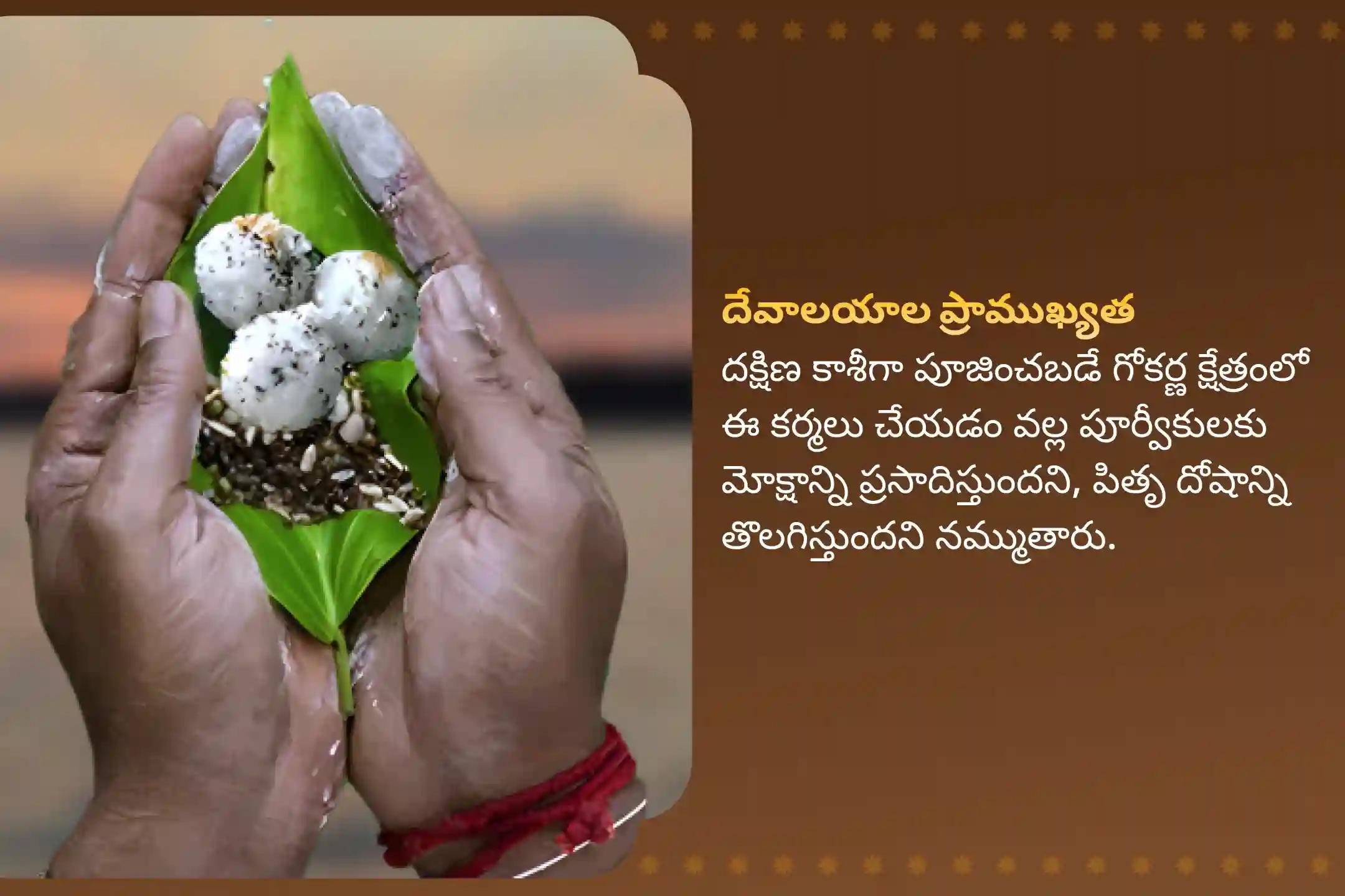 పితృల శాపాల నుండి విముక్తి, మరణించిన ఆత్మలకు శాంతి కోసం దక్షిణ కాశీ గోకర్ణ తీర్థ క్షేత్రం ప్రత్యేక నారాయణ బలి, త్రిపిండి శ్రాద్ధం మరియు తిల హోమాలలో పాల్గొనండి.
