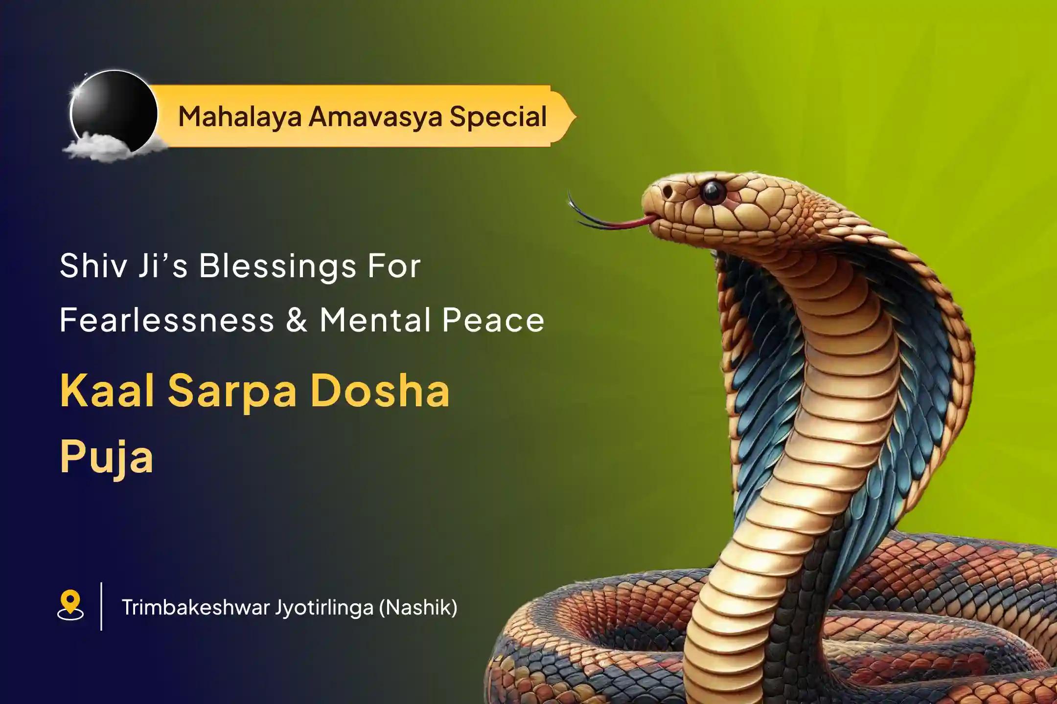 Mahalaya Amavasya Jyotirlinga Special Kaal Sarp Dosha Shanti Puja for Fearlessness and Achieving Mental Stability