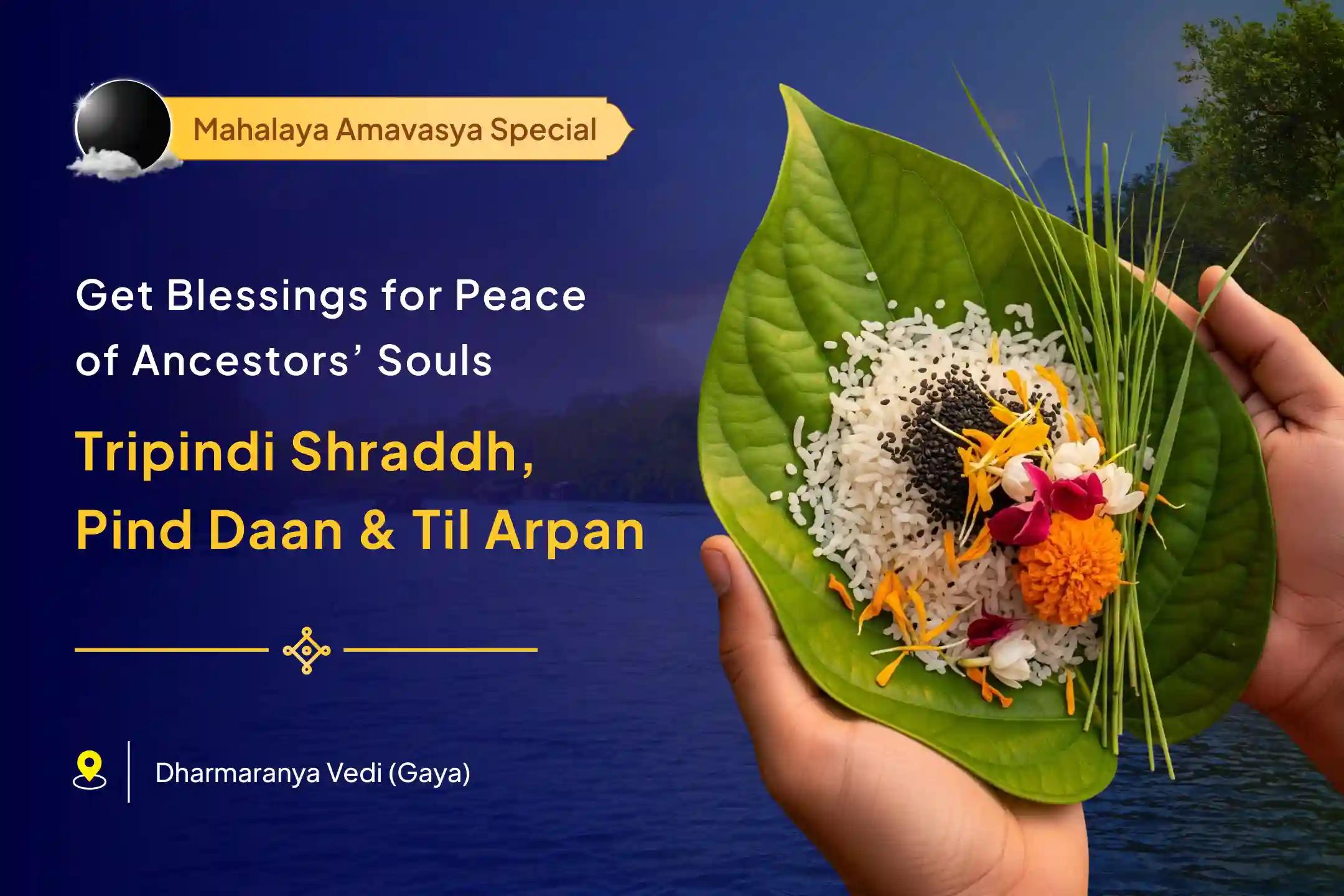 Pret-Mukti Sankalp: Tripindi Shradh & Pind Daan Tripindi Shraadh, Pind Daan and Til Tarpanam For Peace of Departed Souls and Protection from Negative Energies