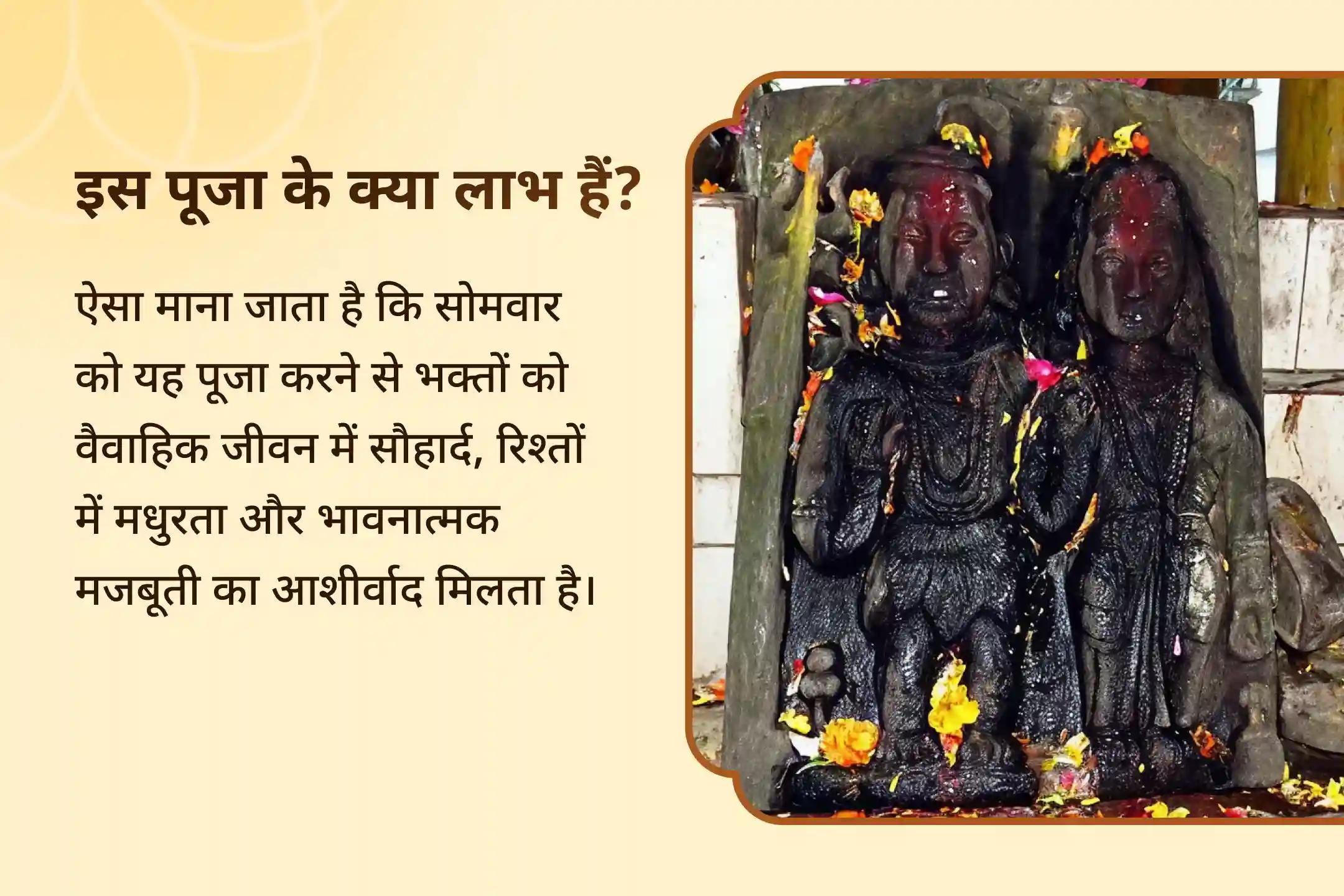 रिश्तों को मजबूत करने और पिछले घावों को भरने के लिए रिश्ते में आशीर्वाद के लिए शिव-पार्वती विवाह पूजा त्रियुगीनारायण शिव-पार्वती विवाह पूजन और अर्धनारीश्वर अभिषेक
