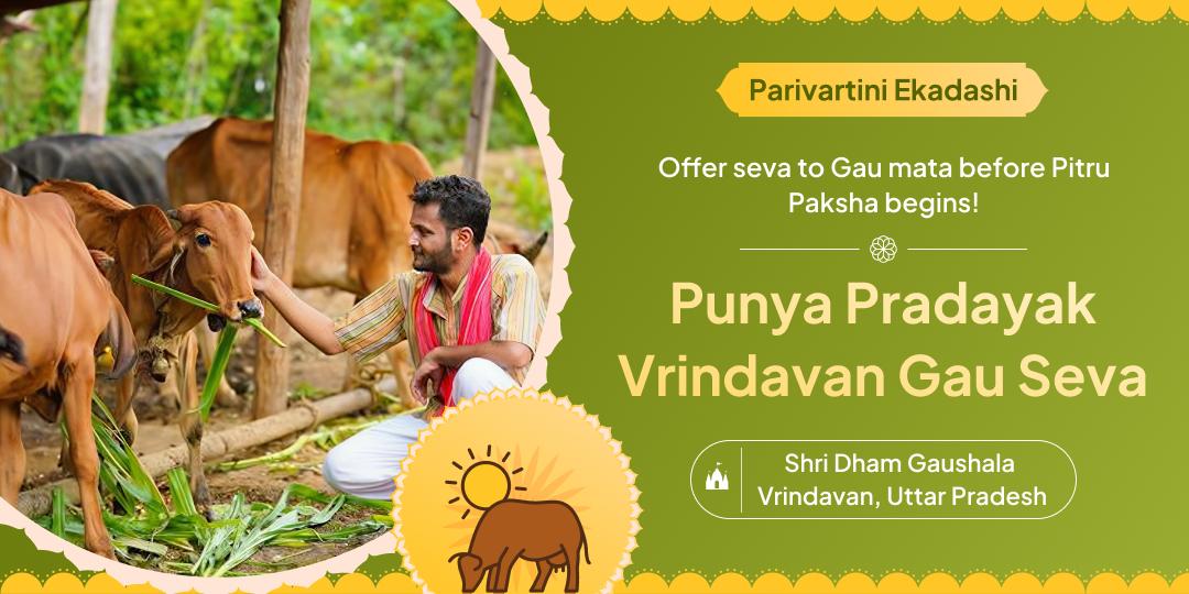 Invoke Vishnu’s special blessings during Chaturmas; on this Parivartini Ekadashi by offering seva to Gau Mata at the sacred land of Vrindavan!