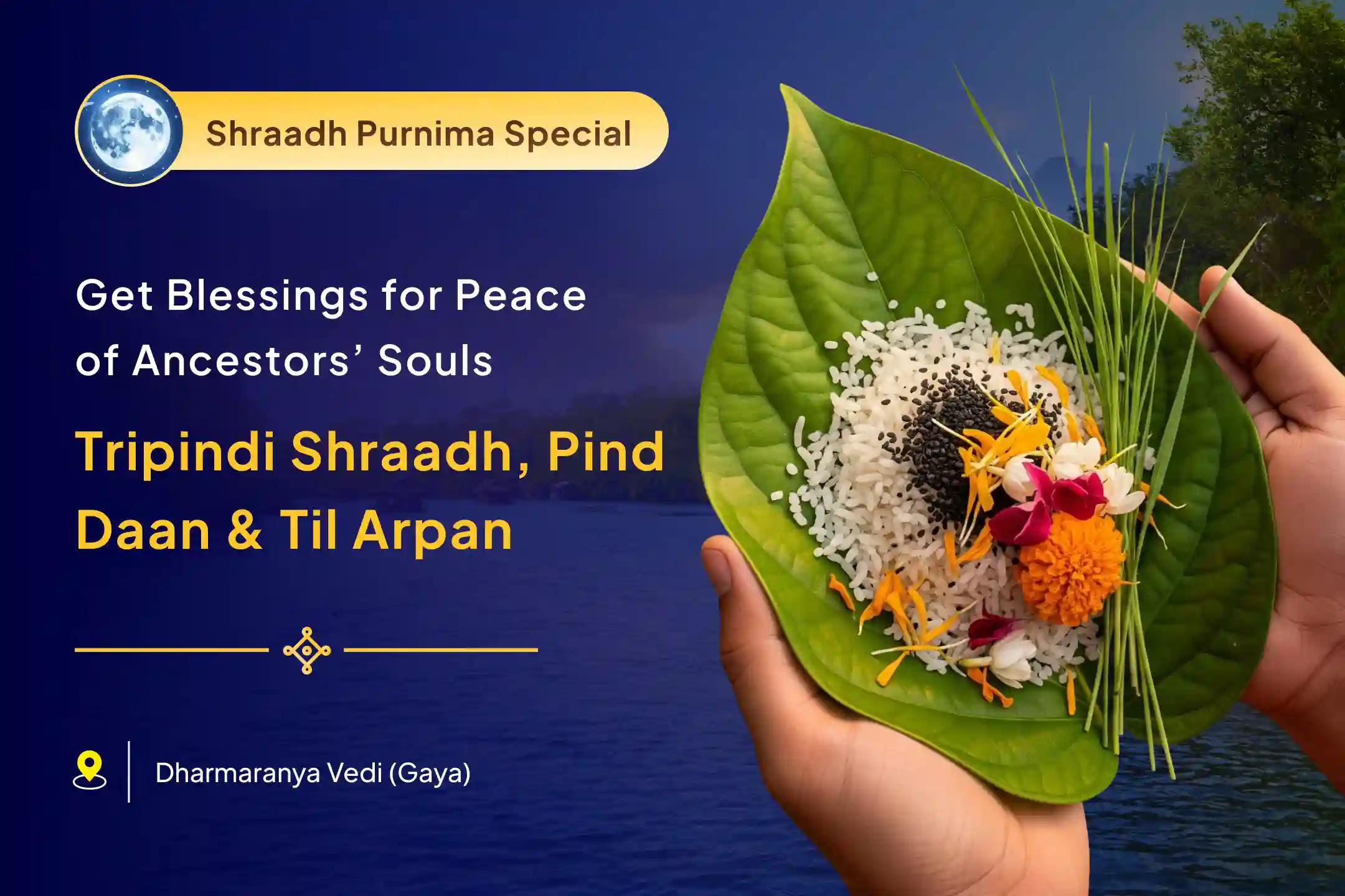 Purnima and Gaya Pitru Tarpan Combo Tripindi Shradh, Pind Daan and Til Tarpanam for resolving ancestral karma and bringing peace to ancestors' souls