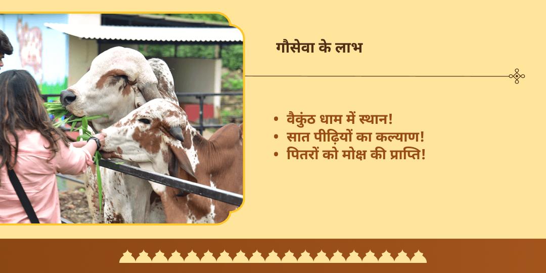पितृ पक्ष मोक्ष तीर्थ मथुरा 15 दिवसीय गौ सेवा संकल्प