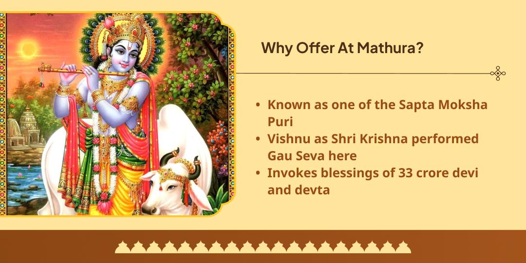 Pitru Paksha Moksha Teerth Mathura 15 Day Gau Seva Sankalp