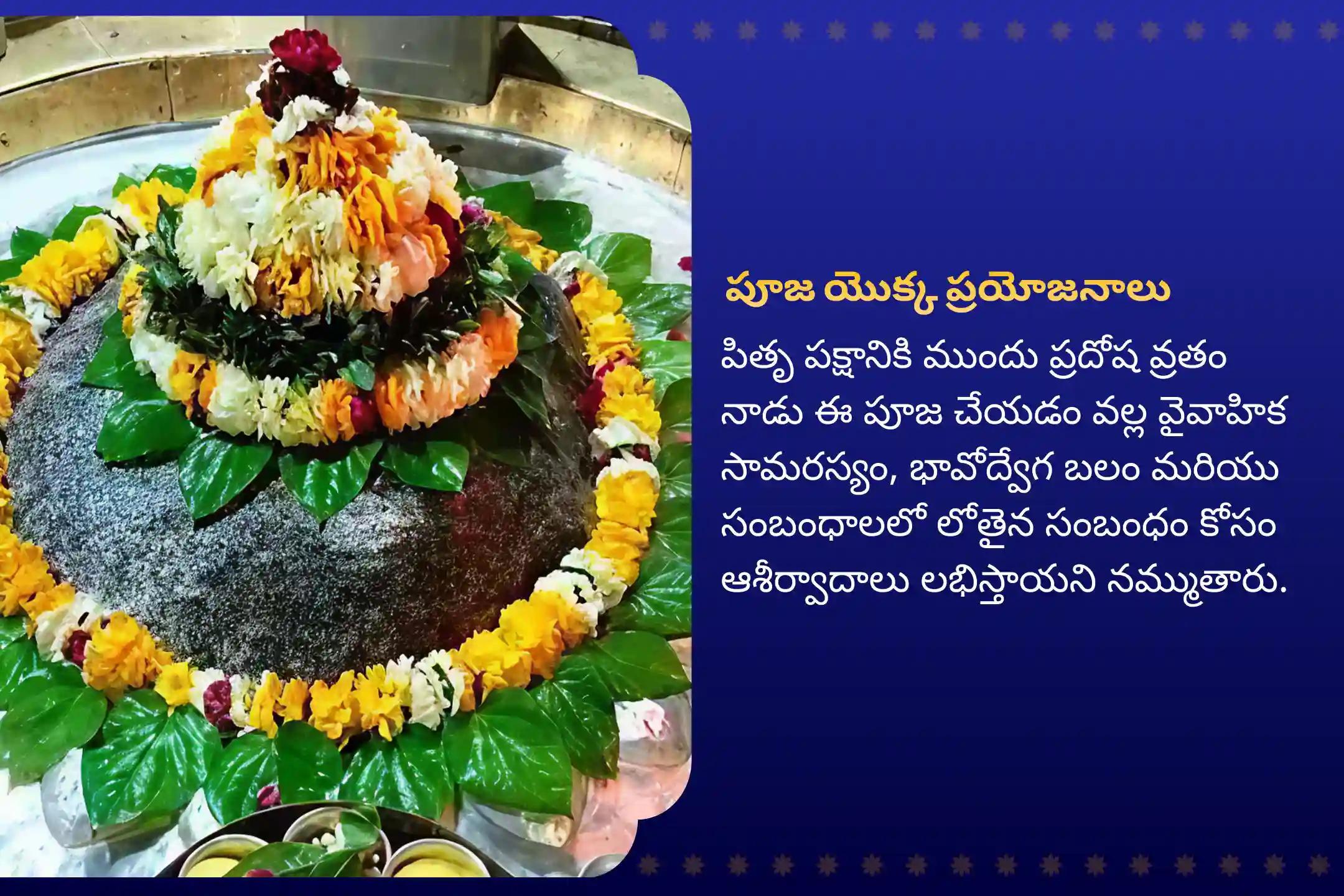 వైవాహిక బంధాలను బలోపేతం చేయడానికి మరియు సామరస్యపూర్వక కుటుంబ జీవితం కోసం ఆశీర్వాదం కోరడానికి పితృ పక్షానికి ముందు చివరి ప్రదోష వ్రతం గౌరీ కేదారేశ్వర ప్రత్యేక శివ పార్వతి పూజలో పాల్గొనండి