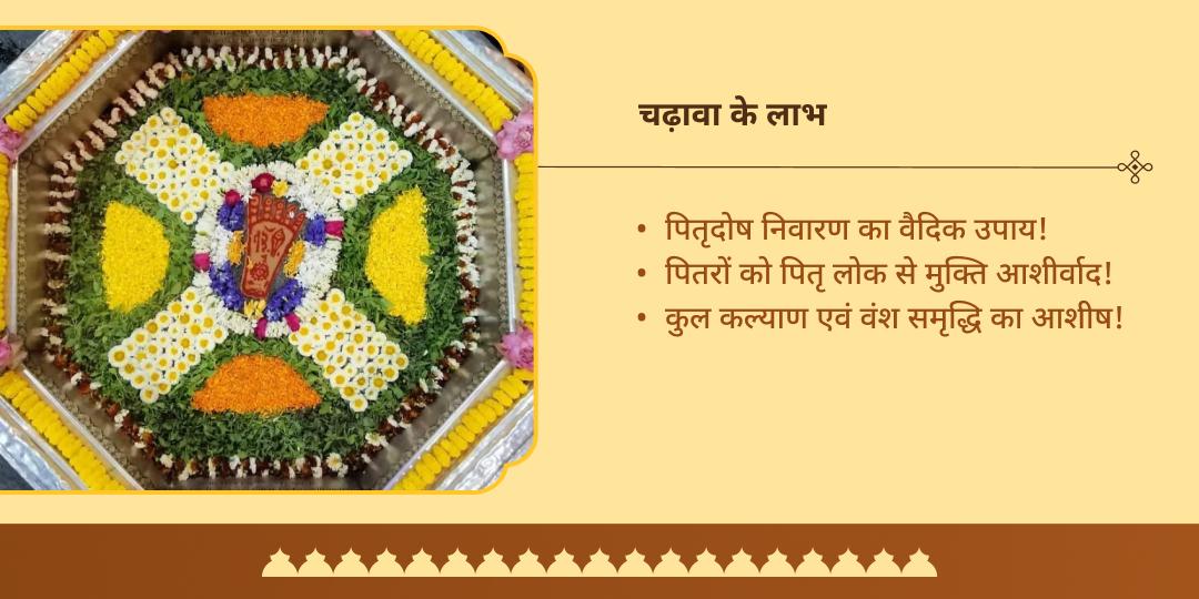 पितृ पक्ष पितृ शांति विष्णु पद वेदी गया संकल्प