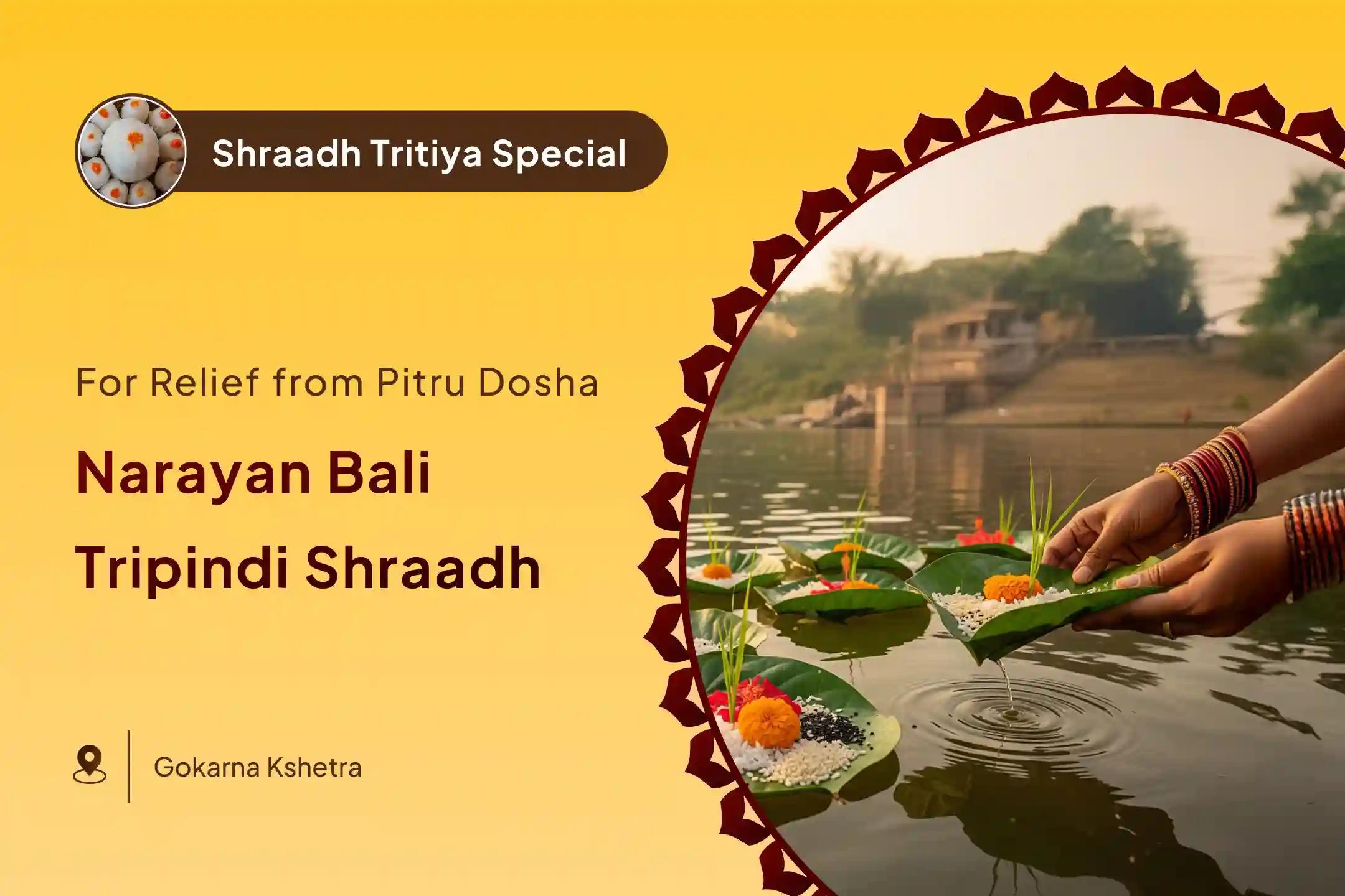 Pitru Paksh Narayan Bali Special Narayan Bali Puja, Tripindi Shraadh, Pitru Dosha Shanti Puja to Seek Relief from Ancestral Curses and Bring Peace to Departed Souls