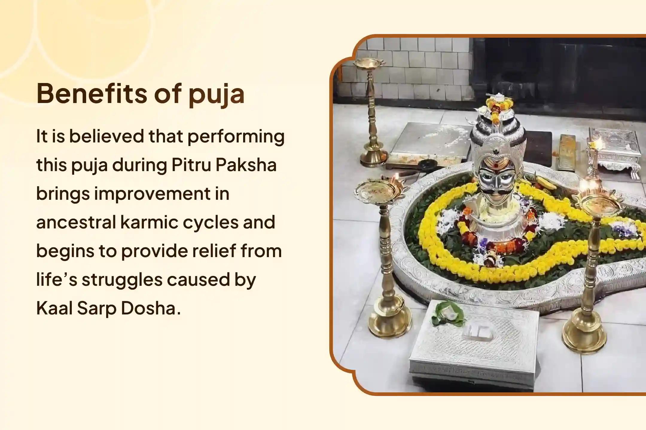 Kaal Sarp Dosh Nivaran Anushthan Kaal Sarp Dosha Puja at Shipra Ghat Overcoming Kaal Sarp effects and life obstacle