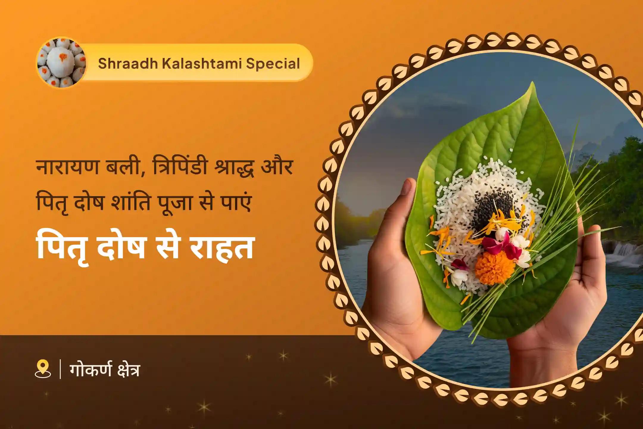 पैतृक श्राप से राहत पाने और दिवंगत आत्माओं को शांति प्रदान करने के लिए पितृ पक्ष नारायण बलि विशेष नारायण बलि पूजा, त्रिपिंडी श्राद्ध पितृ दोष शांति पूजा