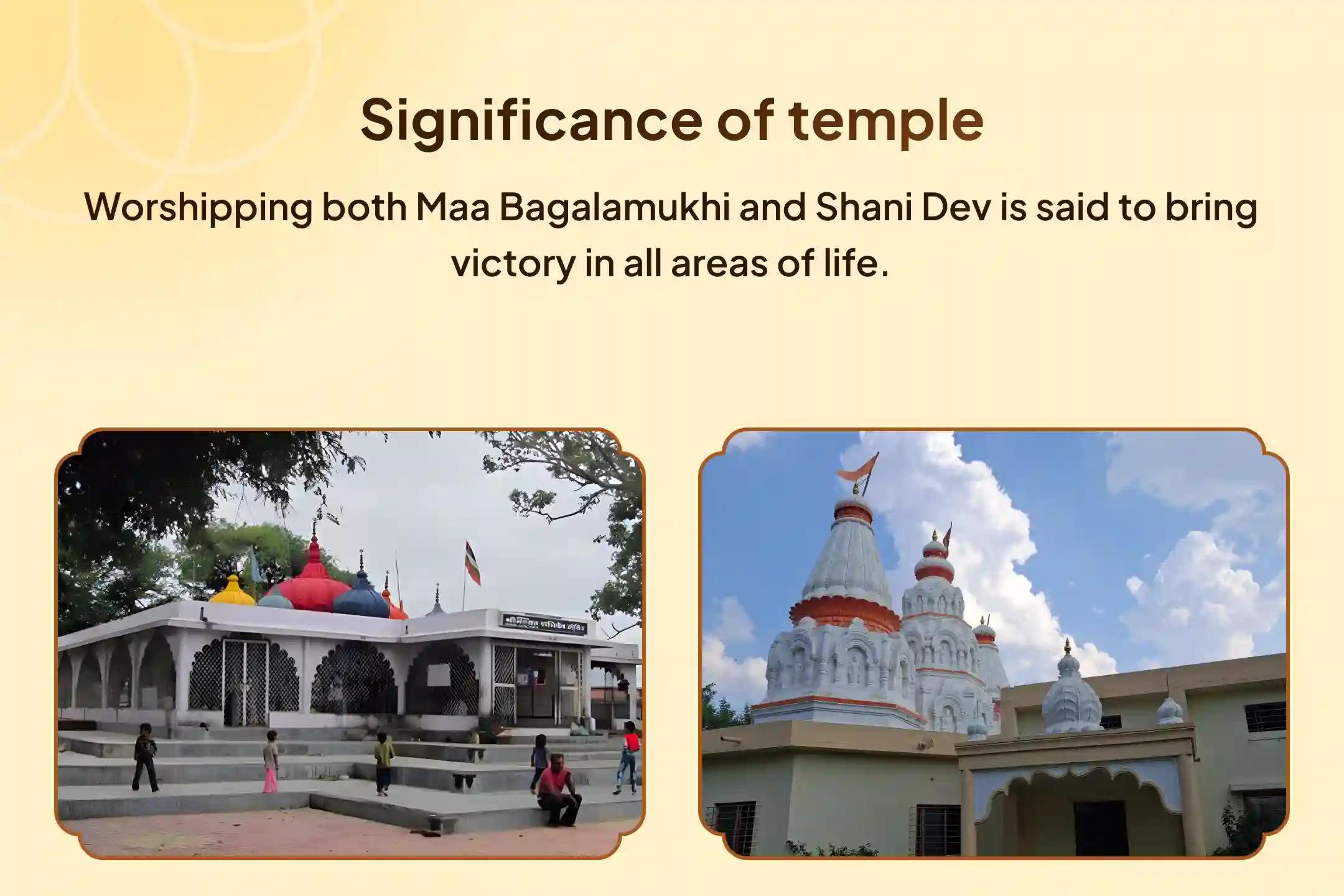 Bagalamukhi-Shani Vijay Havan: Tantra Yukta Shatru Stambhan Maa Bagalamukhi Tantra Yukta Havan and Shani Til Tel Abhishek To Get Blessings for Victory over Enemies and in Court Cases