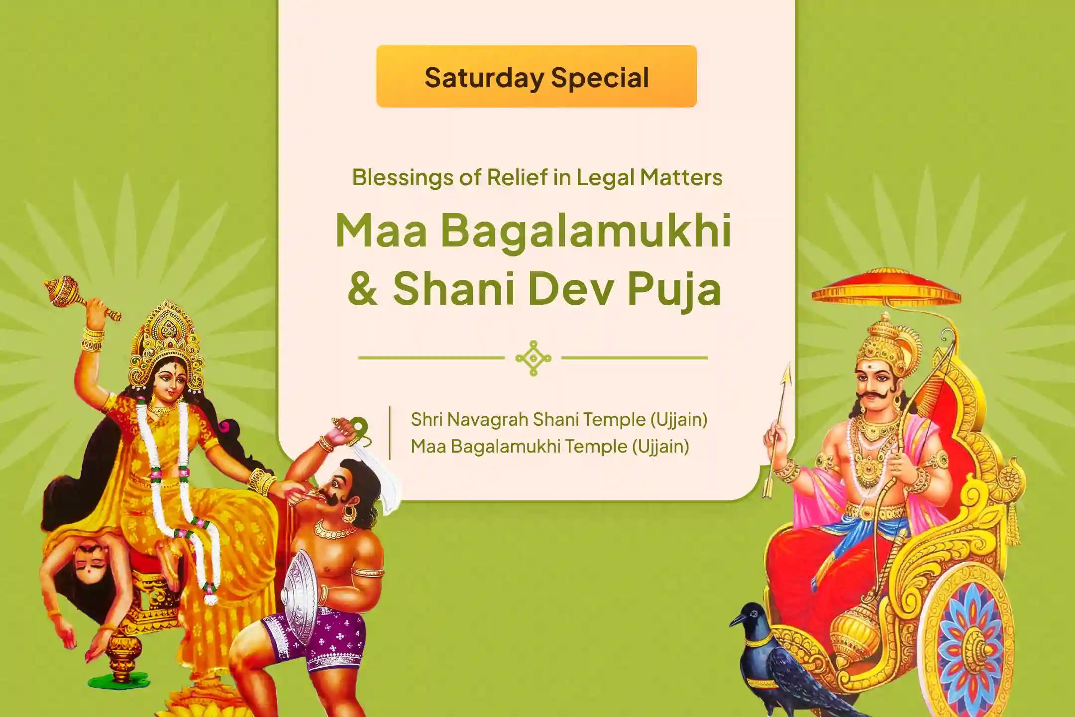 Bagalamukhi-Shani Vijay Havan: Tantra Yukta Shatru Stambhan Maa Bagalamukhi Tantra Yukta Havan and Shani Til Tel Abhishek To Get Blessings for Victory over Enemies and in Court Cases
