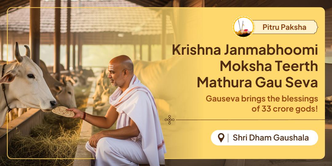 Receive the blessings of 33 crore gods to liberate ancestors with Gau Seva at Krishna bhumi Mathura during this powerful Pitru Paksha.