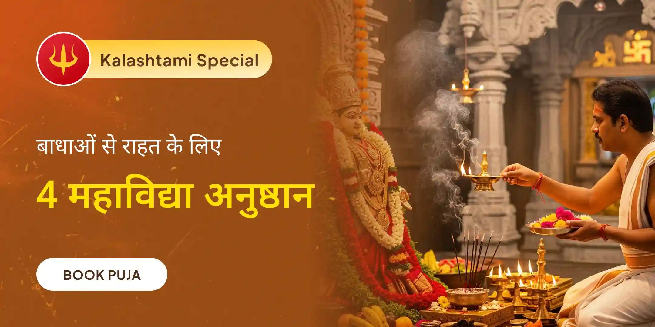 मां तारा, मां काली, मां त्रिपुर सुंदरी और मां भैरवी तंत्र युक्त यज्ञ