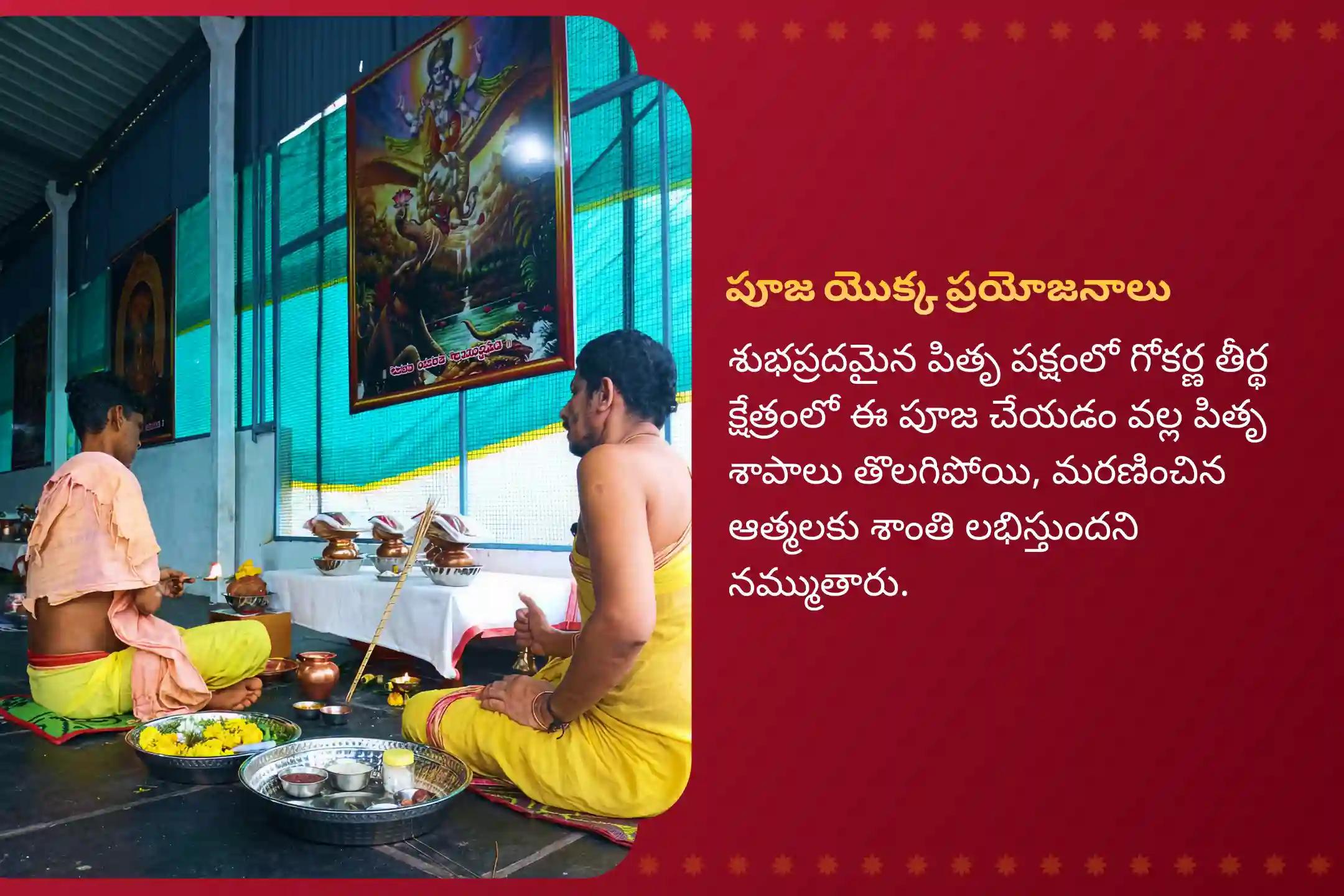 పితృల శాపాల నుండి విముక్తి, మరణించిన ఆత్మలకు శాంతి కోసం పితృ పక్షం గోకర్ణ ప్రత్యేక ప్రత్యేక నారాయణ బలి, త్రిపిండి శ్రాద్ధం మరియు తిల హోమాలలో పాల్గొనండి.