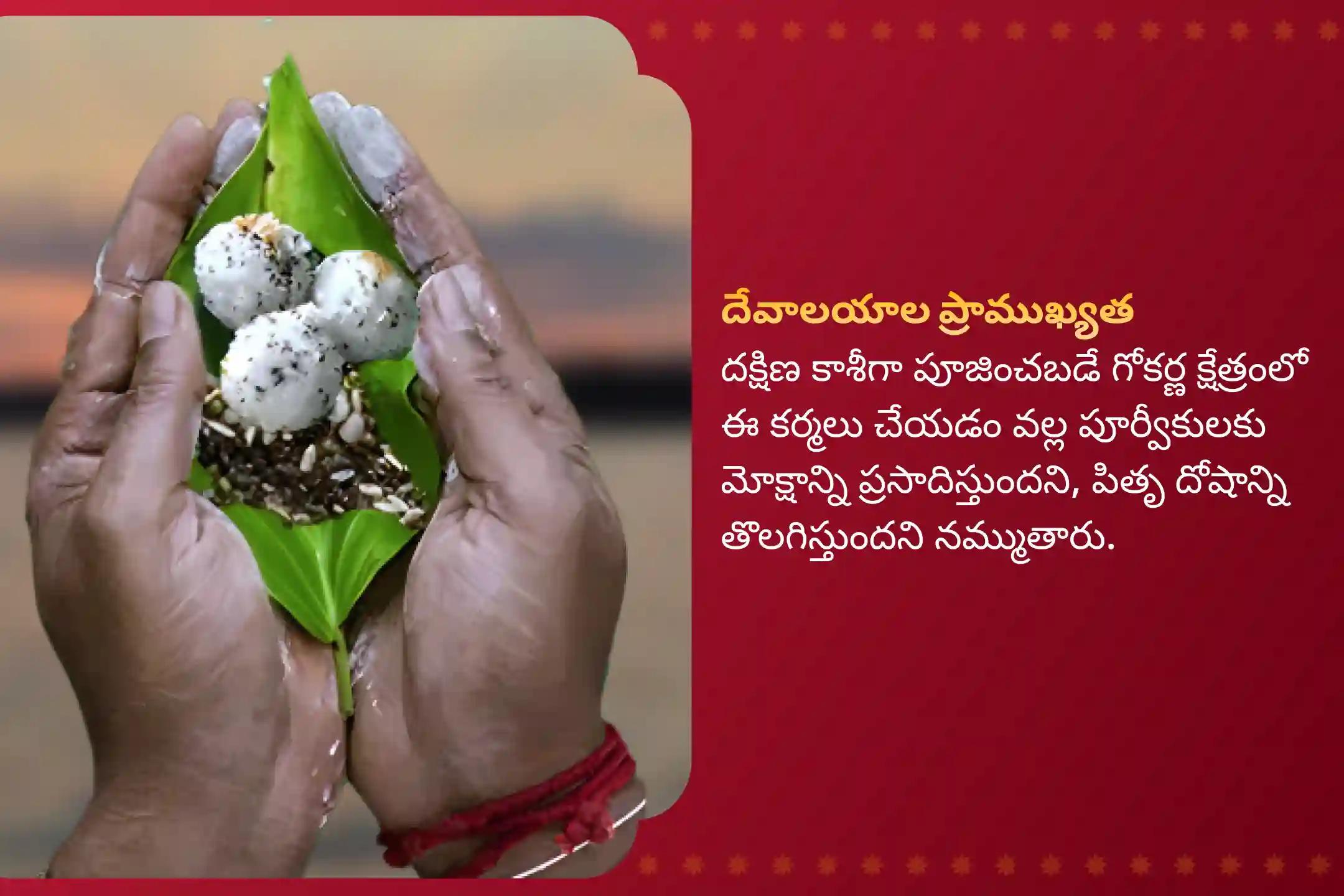 పితృల శాపాల నుండి విముక్తి, మరణించిన ఆత్మలకు శాంతి కోసం పితృ పక్షం గోకర్ణ ప్రత్యేక ప్రత్యేక నారాయణ బలి, త్రిపిండి శ్రాద్ధం మరియు తిల హోమాలలో పాల్గొనండి.