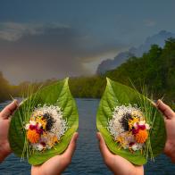 पैकेज 2 package image