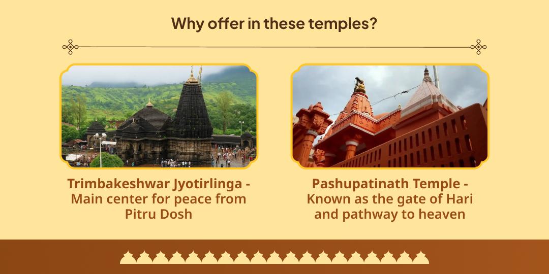 Pitru Paksha Pitru Pati Shiv Trimbakeshwar-Pashupatinath Chadhava