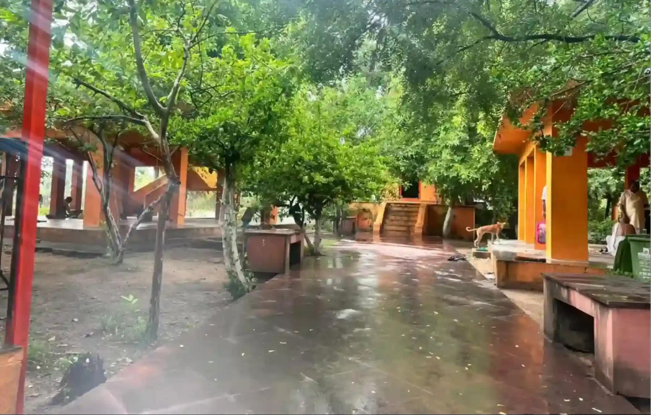 Dharmaranya Vedi, Gaya, Bihar