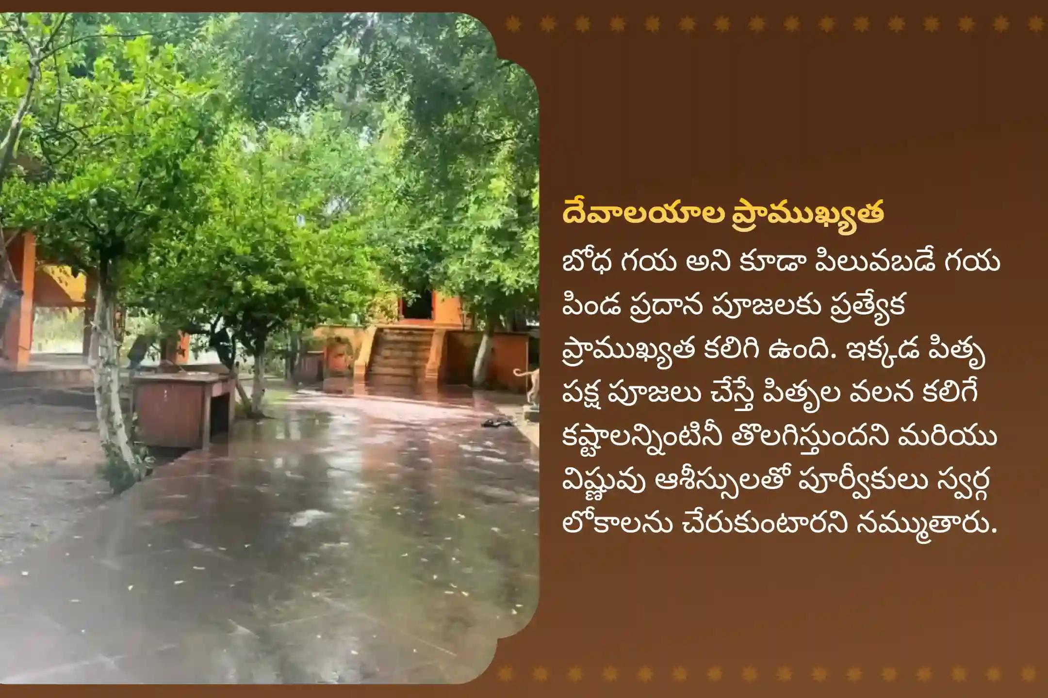 మరణించిన వారి ఆత్మల శాంతి కోసం పితృ పక్షం 2వ రోజు గయ పిండ దానం ప్రత్యేక గయ త్రిపిండి శ్రాద్ధం, పిండ దానం మరియు పితృ తర్పణంలో పాల్గొనండి