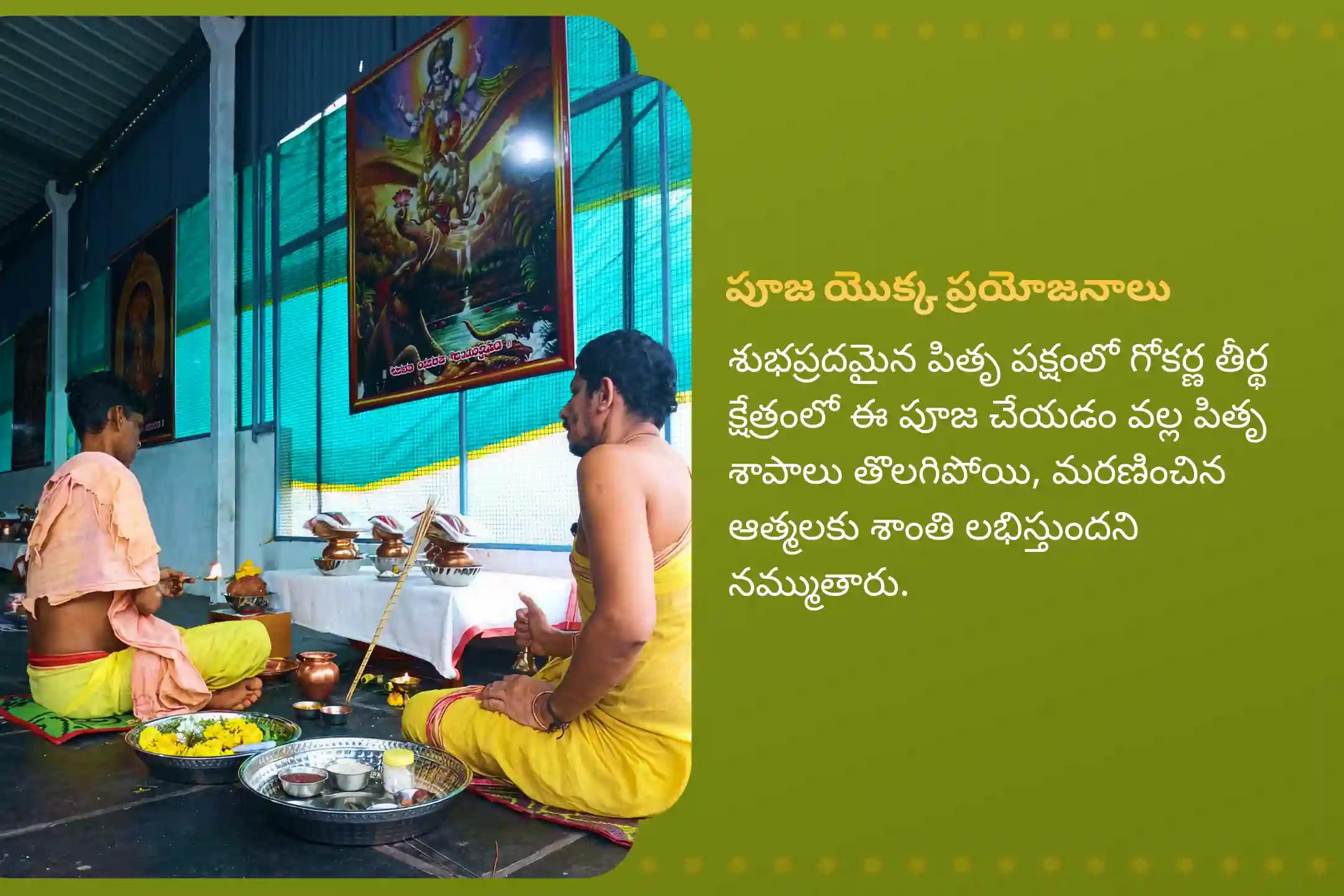 పితృల శాపాల నుండి విముక్తి, మరణించిన ఆత్మలకు శాంతి కోసం పితృ పక్షం నారాయణ బలి ప్రత్యేక నారాయణ బలి, త్రిపిండి శ్రాద్ధం మరియు తిల హోమాలలో పాల్గొనండి.