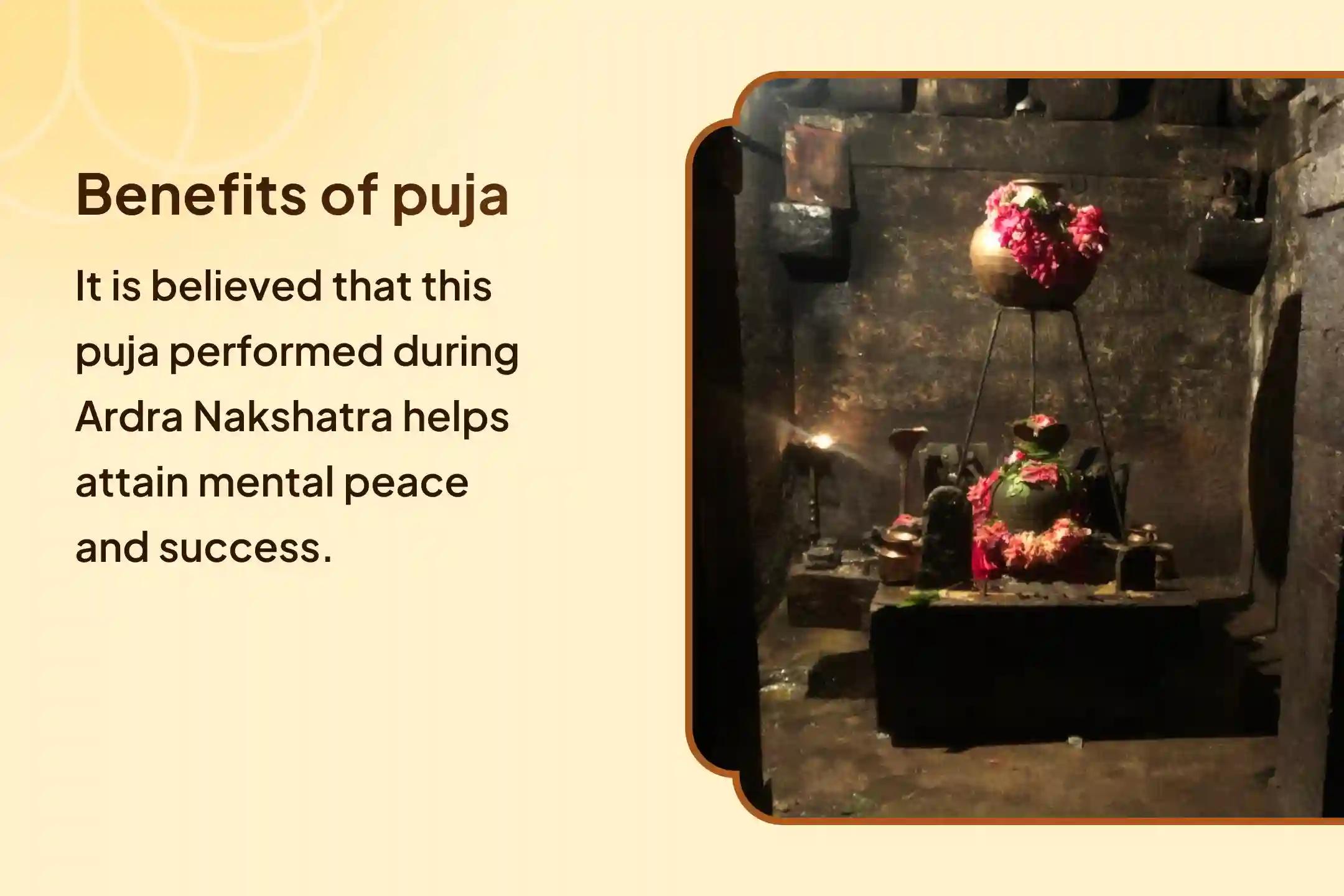 Nakshatra of Rahu Special Rahu Shanti Jaap and Havan for Blessings of Mental Stability and Success