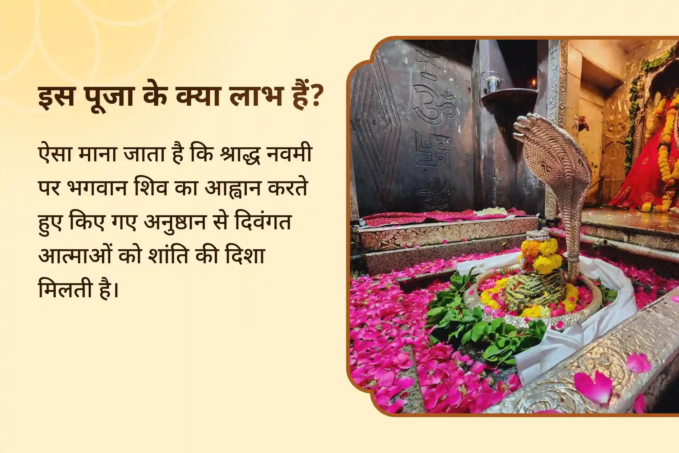 दिवंगत आत्माओं की शांति के लिए नर्मदा घाट पितृ तर्पण एवं रूद्राभिषेक विशेष ओंकारेश्वर रुद्राभिषेक एवं नर्मदा पितृ तर्पण