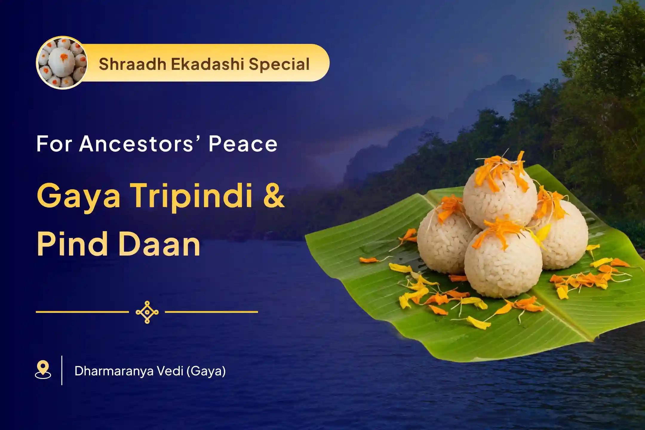 Pind Daan and Tripindi Shraadh Gaya Special Gaya Tripindi Shraadh, Pind Daan and Til Tarpanam for the peace of departed souls
