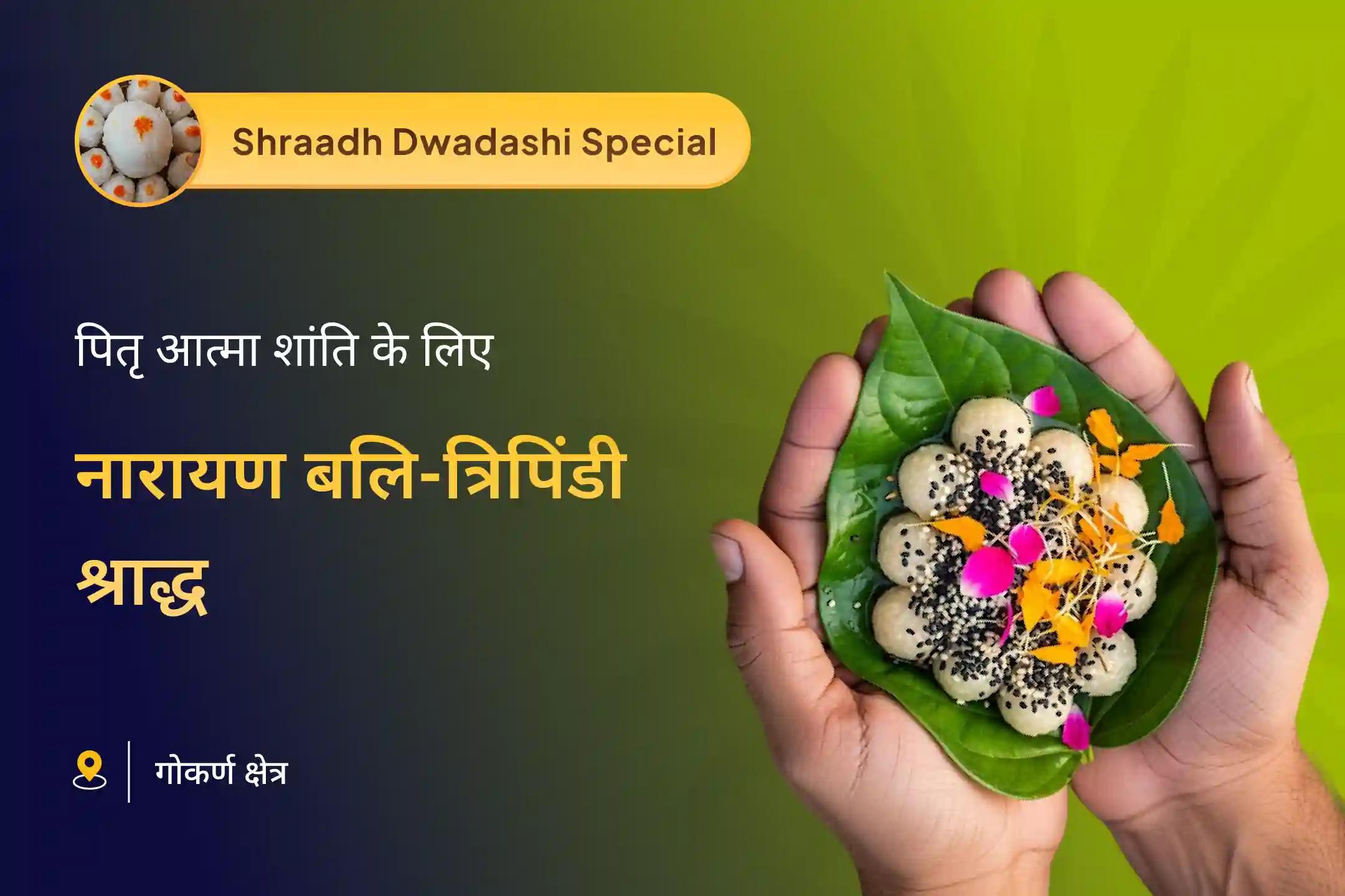 पितृ दोष से राहत और पितरों की आत्मा शांति हेतु पितृ पक्ष नारायण बलि विशेष नारायण बलि पूजा, त्रिपिंडी श्राद्ध, पितृ दोष शांति पूजा