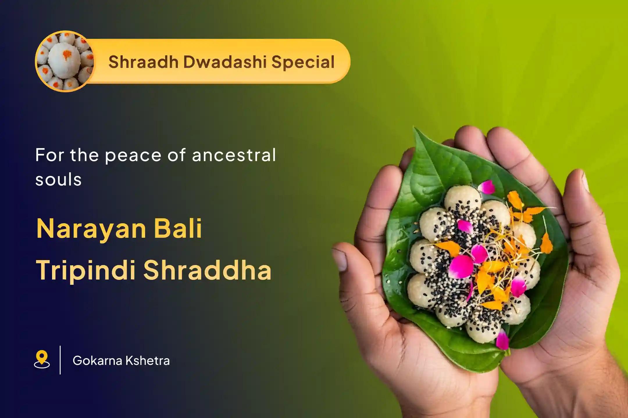 Gokarna Pitru Paksh Narayan Bali Special Narayan Bali Puja, Tripindi Shraadh Pitru Dosh Shanti Puja Seek Relief from Ancestral Curses and Bring Peace to Departed Souls