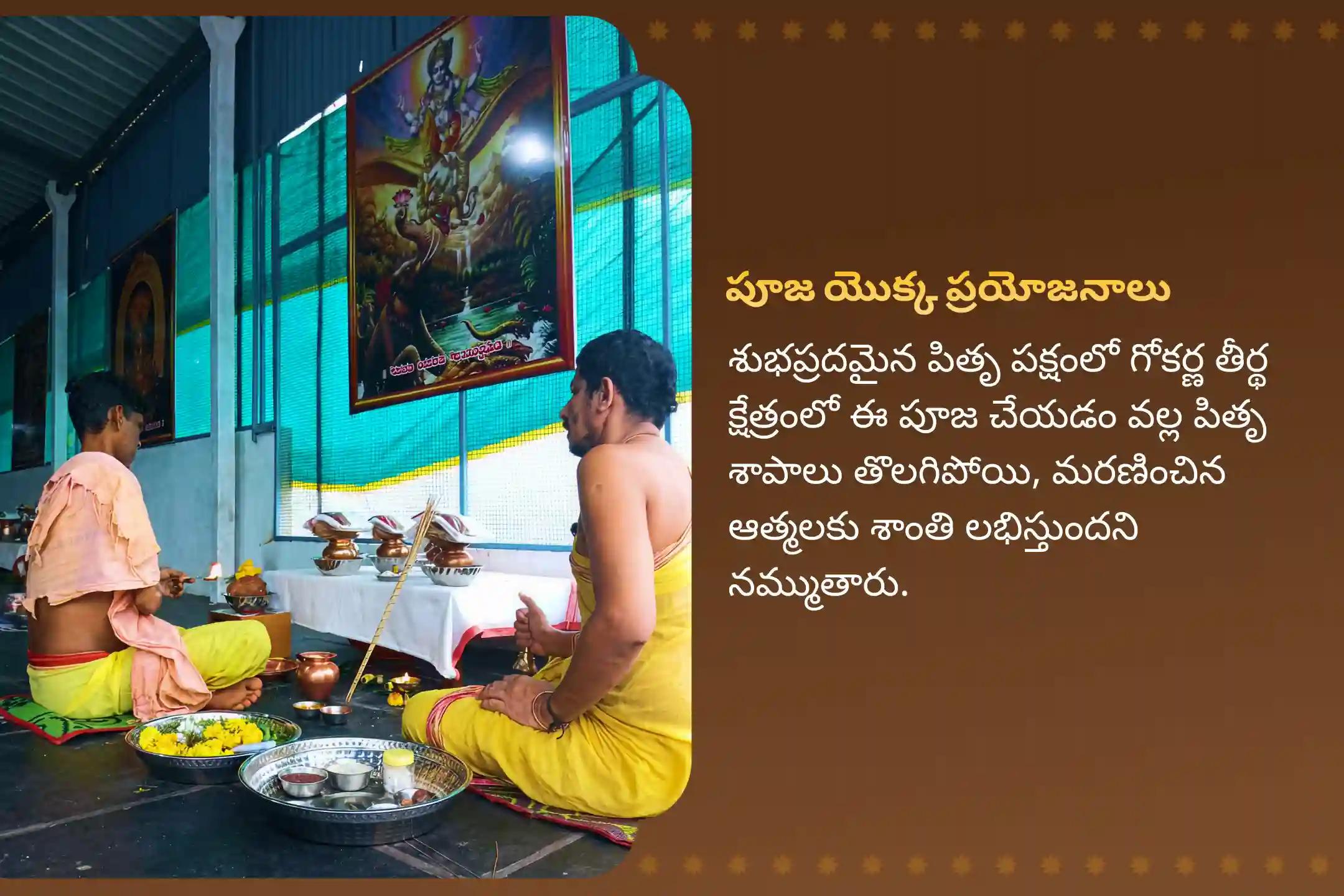 పితృల శాపాల నుండి విముక్తి, మరణించిన ఆత్మలకు శాంతి కోసం పితృ పక్షం నారాయణ బలి గోకర్ణ ప్రత్యేక నారాయణ బలి, త్రిపిండి శ్రాద్ధం మరియు తిల హోమాలలో పాల్గొనండి.
