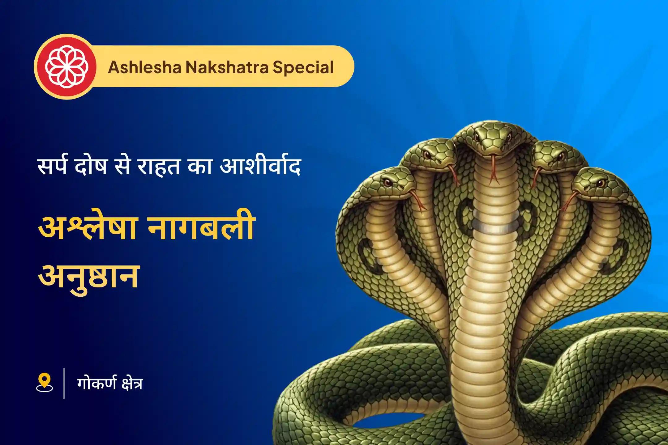 नाग देवता का आशीर्वाद पाने और नकारात्मक ऊर्जा को दूर करने के लिए अश्लेषा नक्षत्र विशेष अश्लेषा नागबली पूजा