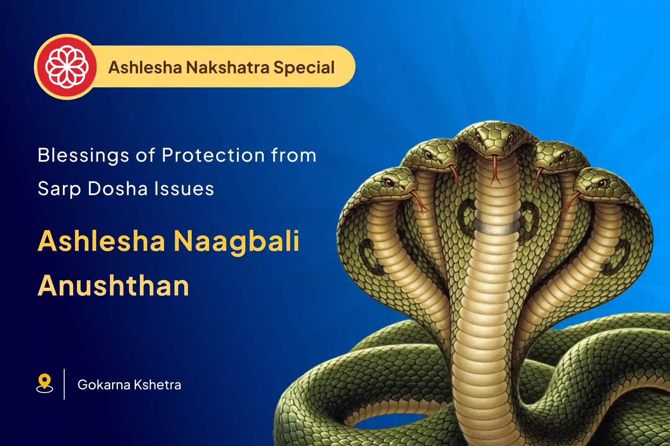 Ashlesha Nakshatra Special Ashlesha Naag Bali Puja for serpent deity blessings and removing negative energies.