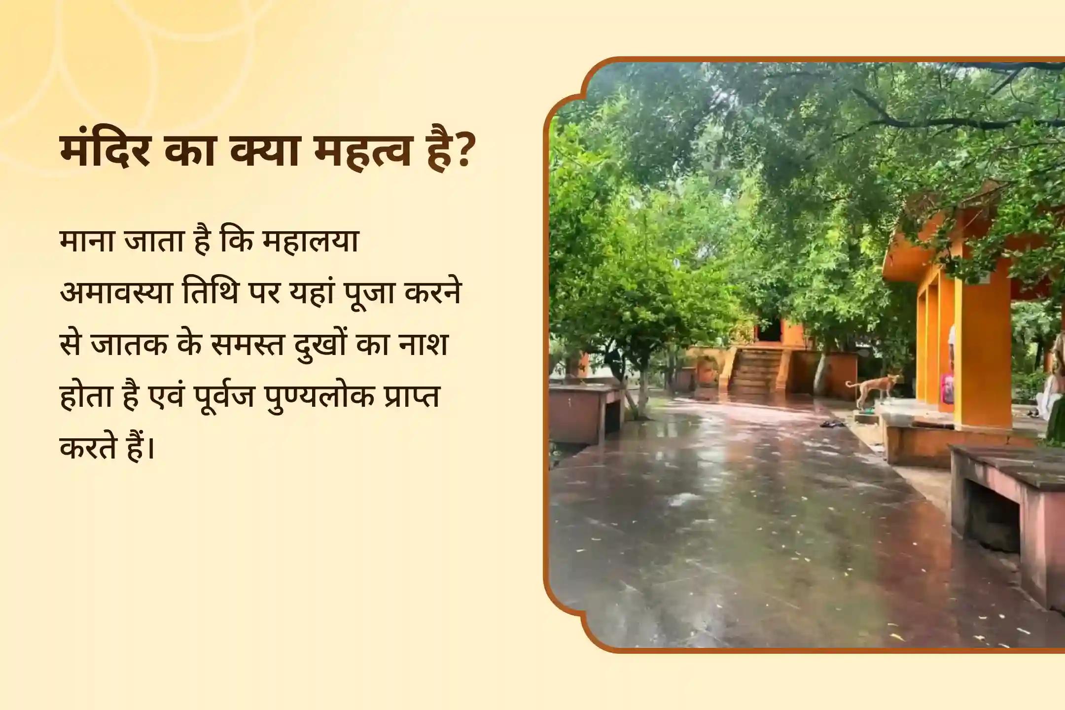 पूर्वजों की आत्मा की शांति एवं पारिवारिक क्लेश से मुक्ति के लिए महालया अमावस्या गया विशेष तिल तर्पण और पिंड दान