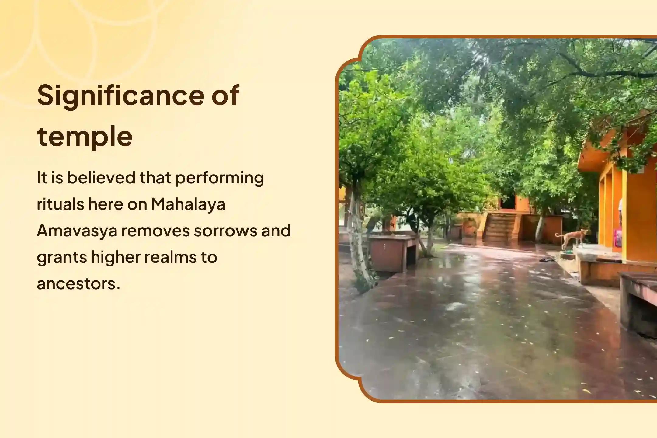 Mahalaya Amavasya Gaya Special Til Tarpan and Pind Daan for peace of ancestors’ souls and relief from family disputes