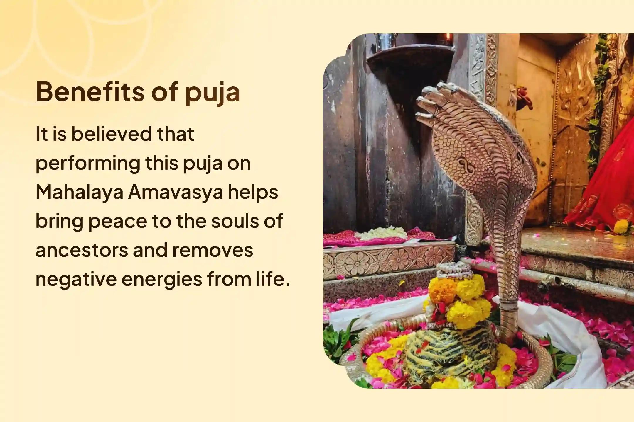 Mahalaya Amavasya Jyotirlinga and Narmada Ghat Combo Special Pitru Dosh Shanti Puja and 11,000 Shiv Aghor Mantra Jaap for Peace of Departed Souls and Protection from Negative Energies