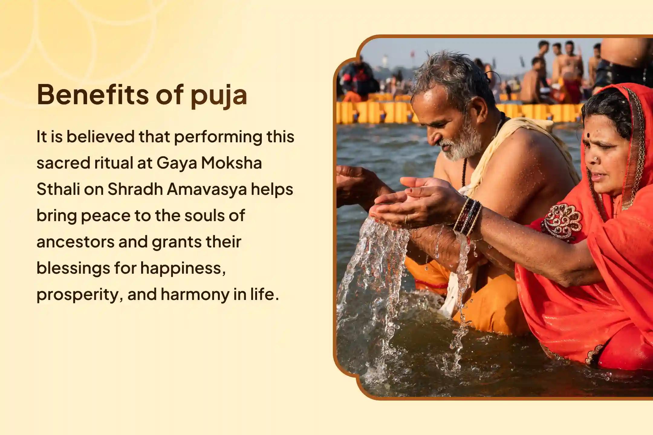 Mahalaya Amavasya Gaya Shanti Special Pitru Dosh Shanti Mahapuja for Peace of Departed Souls and Protection from Negative Energies