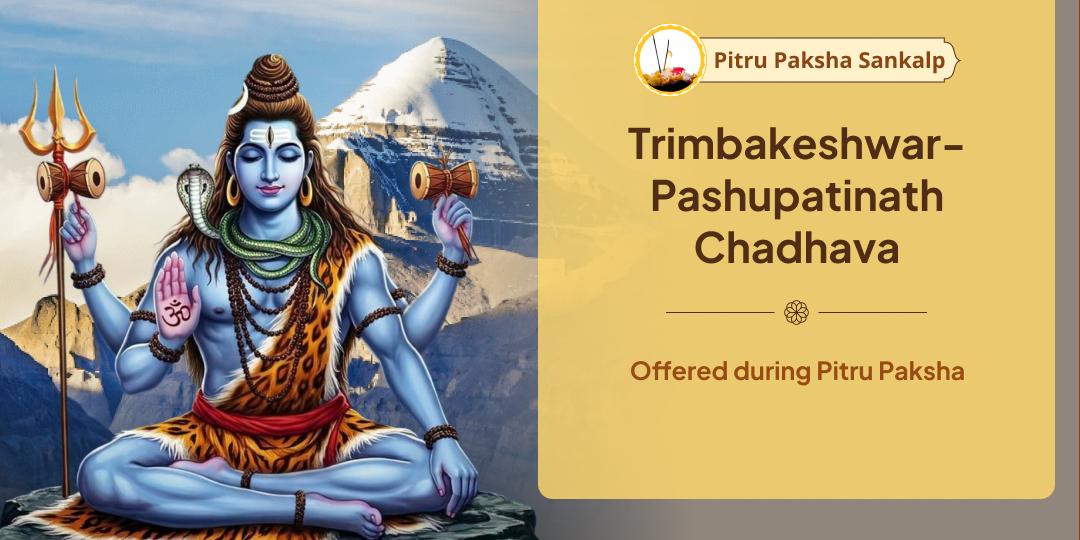 Pitru Paksha Pitru Pati Shiv Trimbakeshwar-Pashupatinath Chadhava Sankalp