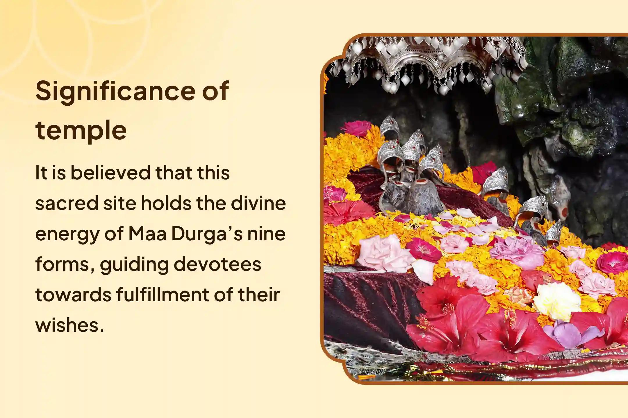 9 Days 9 Forms of Durga Special Puja 9 Day Navdurga 90,000 Navaran Mantra Jaap and Navgrah Shanti Anushthan for Blessing of Abundance in Family and Protection From Negative Energies
