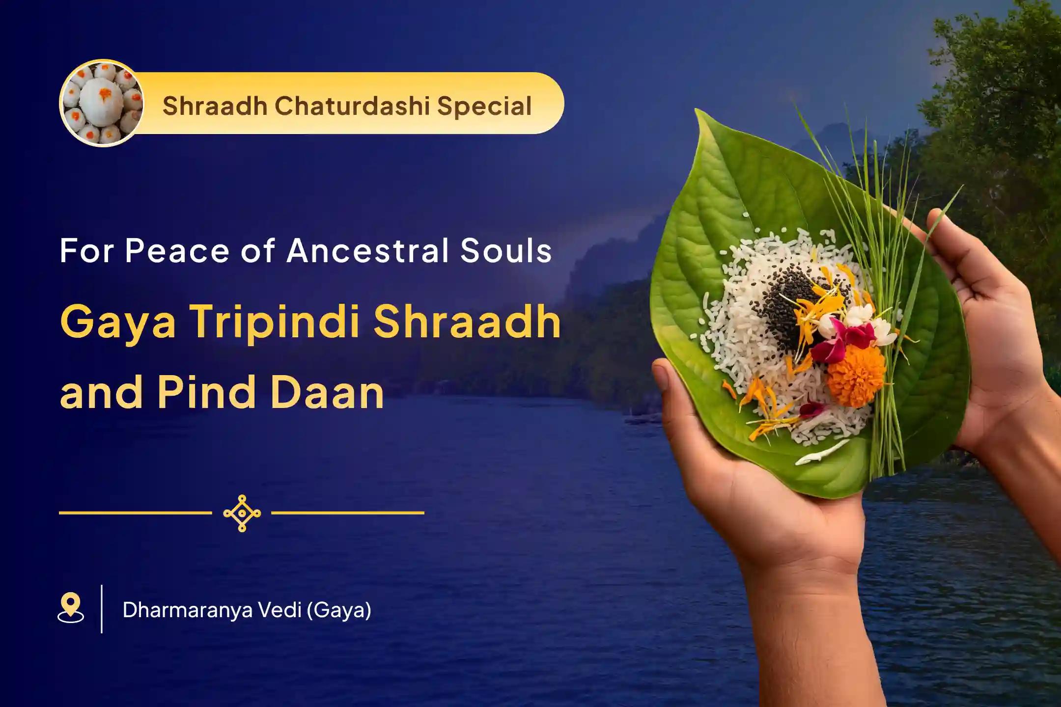 Pind Daan And Tripindi Shraadh Gaya Special Gaya Tripindi Shradh, Pind Daan and Til Tarpanam for Peace of Departed Souls